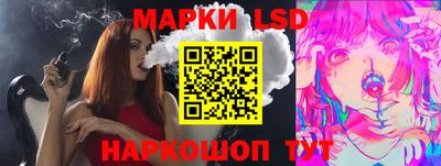 spice Гатчина