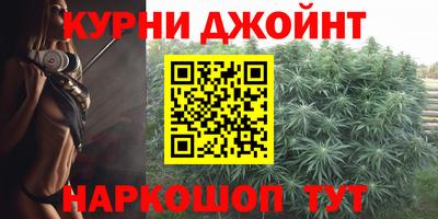 spice Гатчина