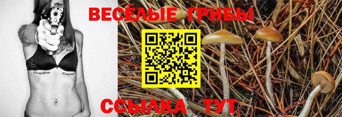 Псилоцибиновые грибы GOLDEN TEACHER Ноябрьск