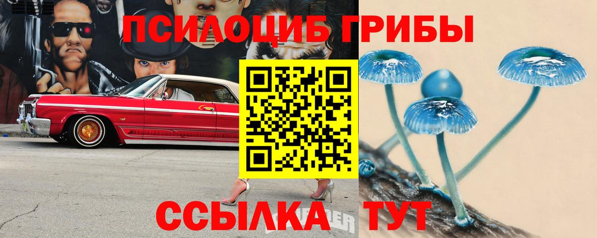 сколько стоит  Вход с VPN  Псилоцибиновые грибы MAGIC MUSHROOMS  Ноябрьск  Галлюциногенные грибы Psilocybe 